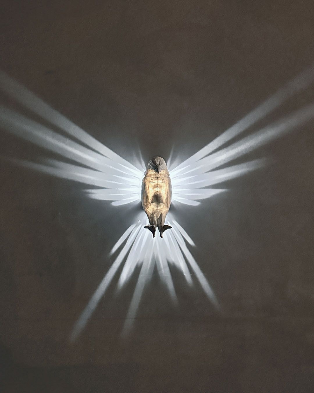 Lampen