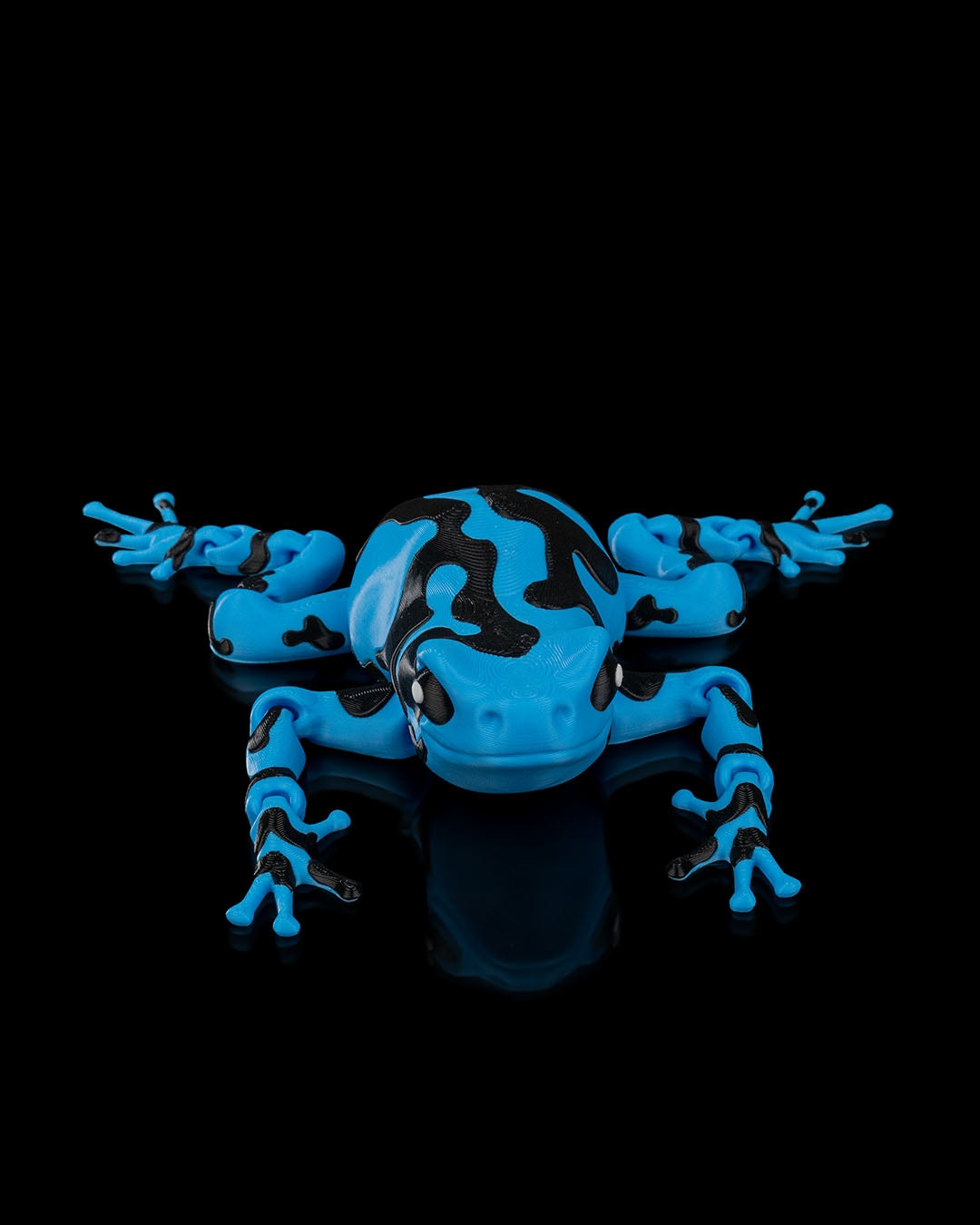 Darcy Pfeilgiftfrosch