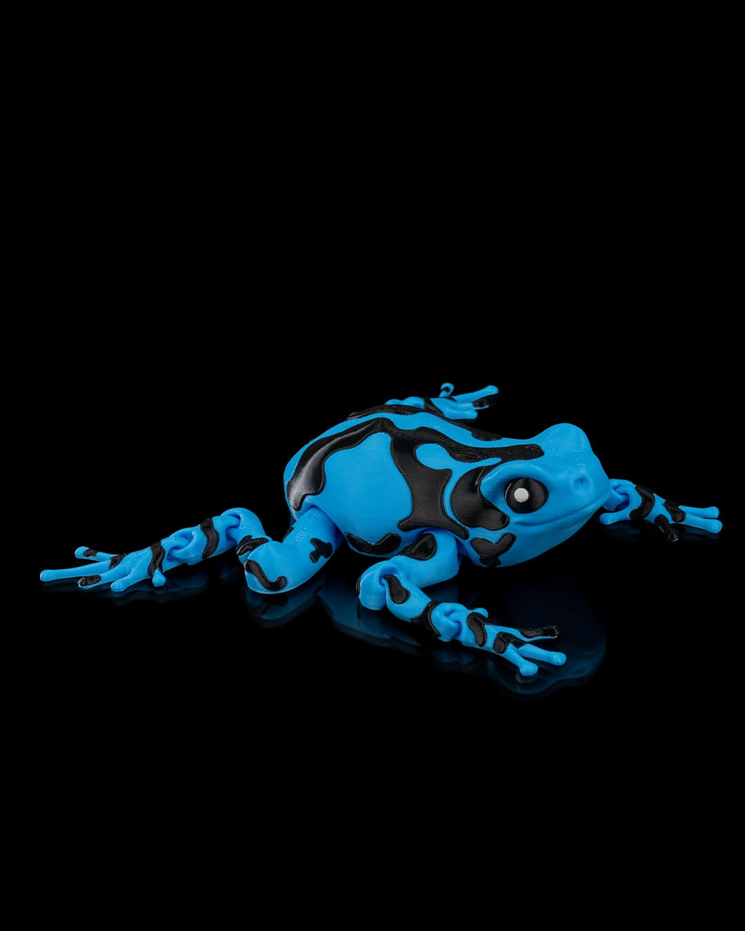 Darcy Pfeilgiftfrosch