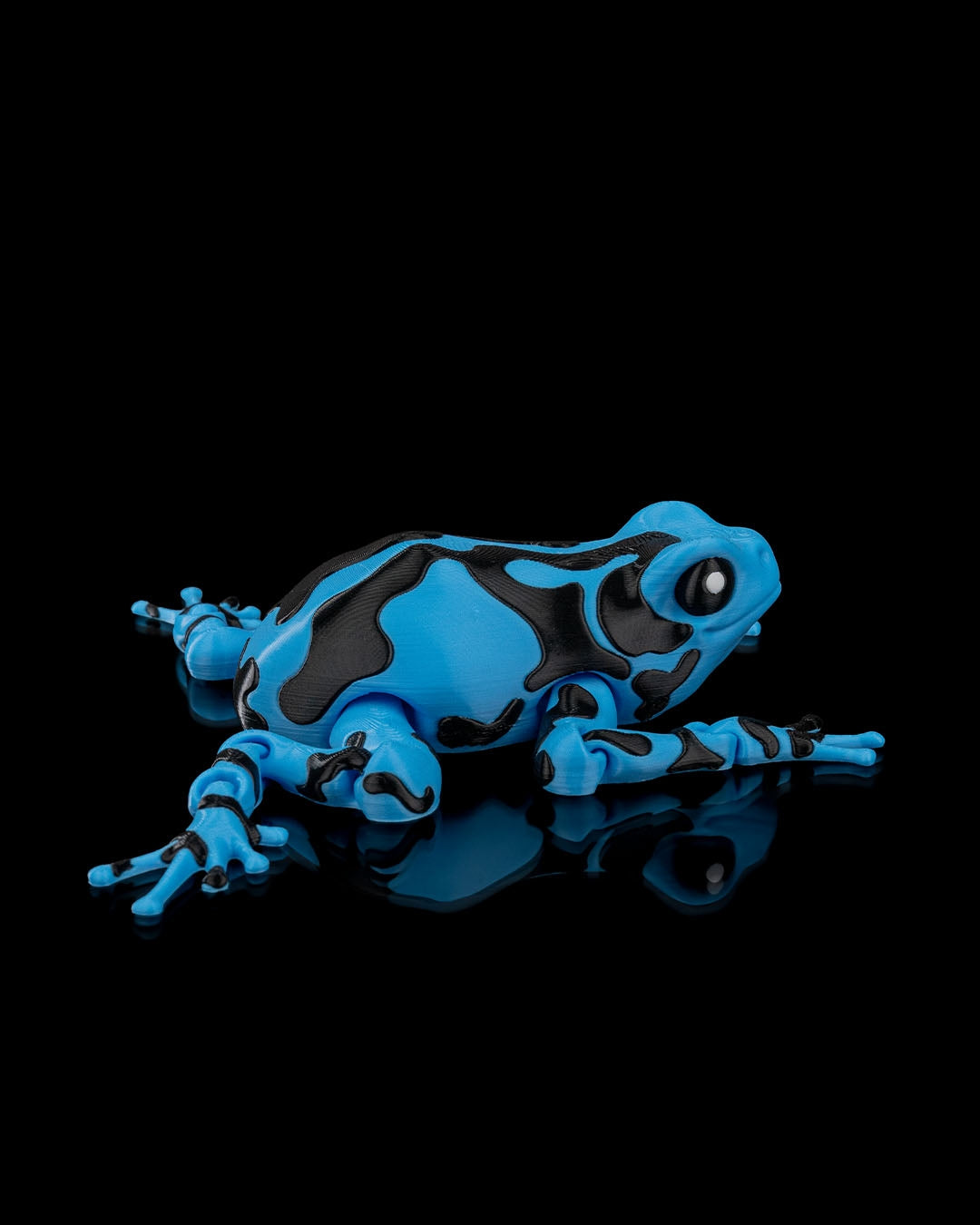Darcy Pfeilgiftfrosch