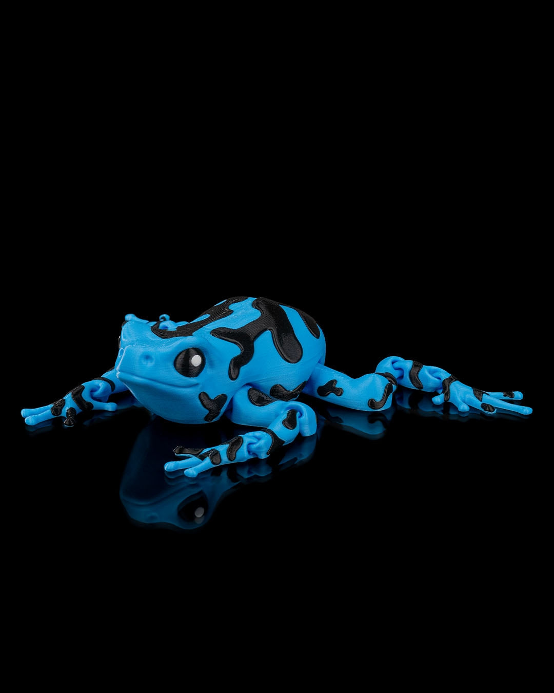 Darcy Pfeilgiftfrosch