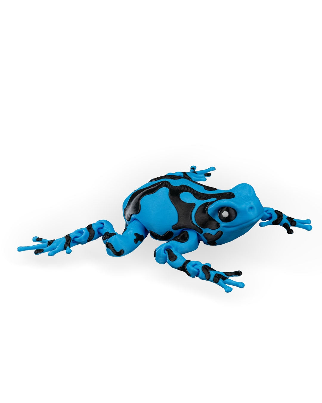 Darcy Pfeilgiftfrosch
