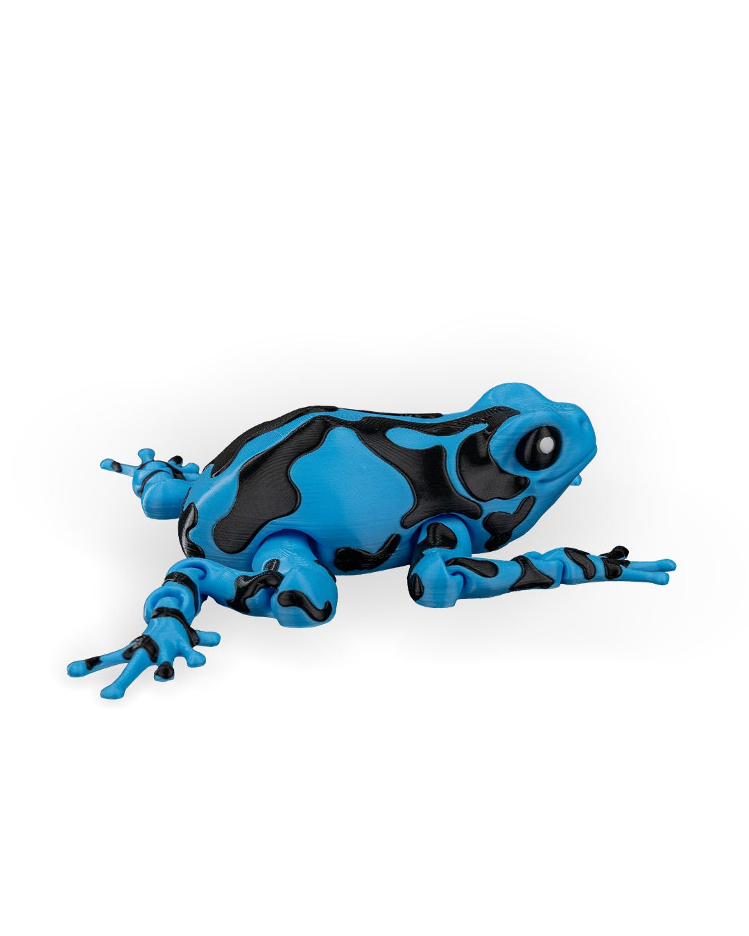 Darcy Pfeilgiftfrosch