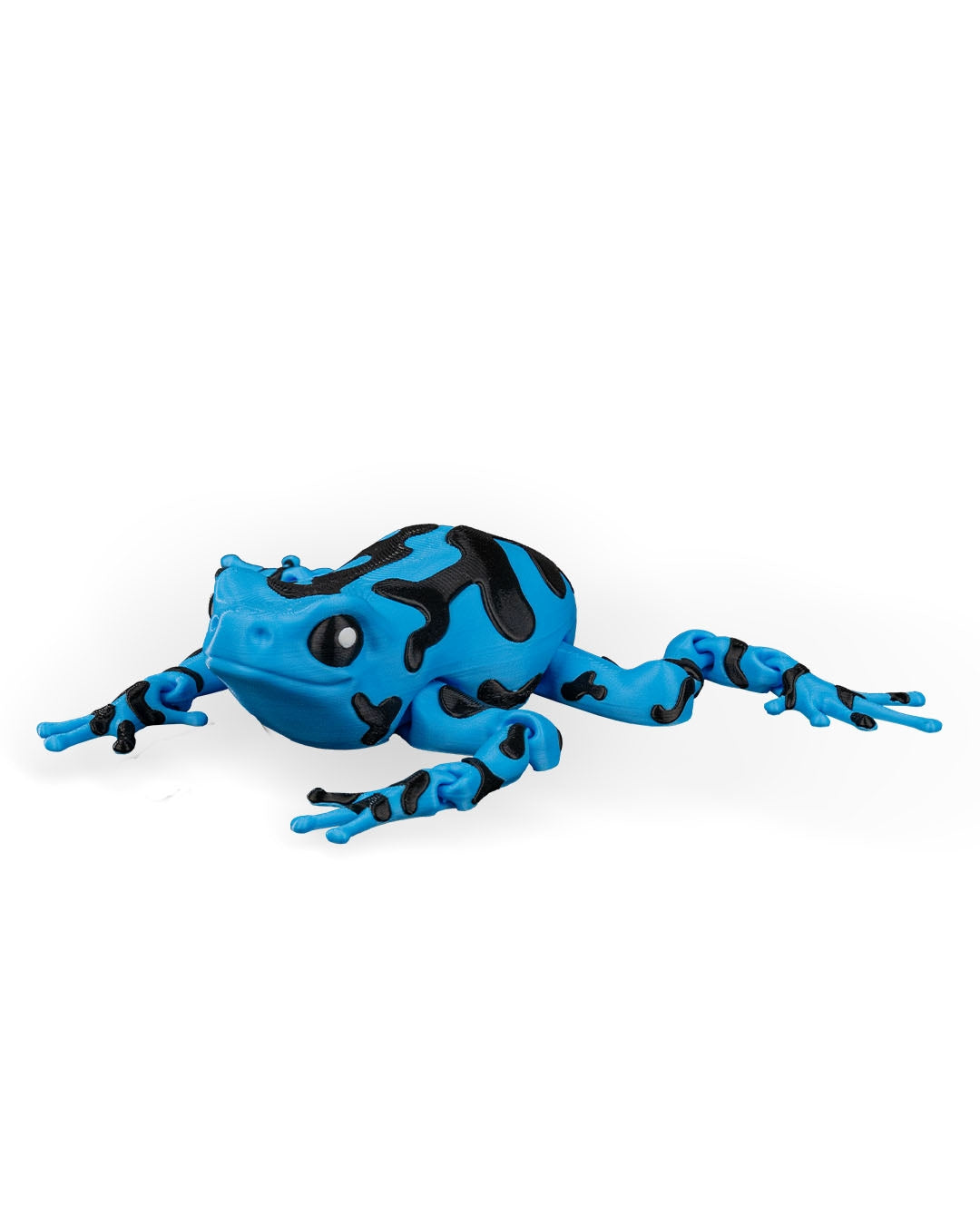 Darcy Pfeilgiftfrosch